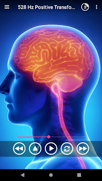 Brain Waves - Binaural Beats for PC screenshot 2