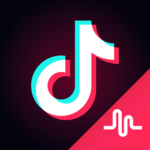 TikTok for PC
