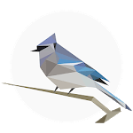 BirdNET: Bird sound identification for PC