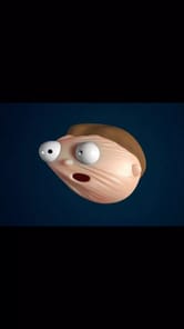 Elastic face for PC screenshot 3