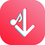 Tiki Tok Video Downloader for PC