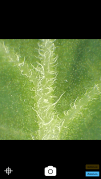 JCAM+ for PC screenshot 3