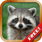Animals for Kids, Planet Earth Animal Sounds for PC