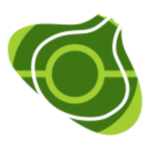 Bulbapedia - Pokémon Wiki for PC