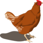 Poultry Manager 2.0 for PC