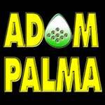 Adam Palma - Guitar Lessons for PC