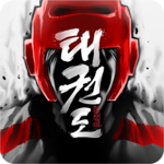 Taekwondo Game for PC