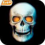 Skull 3D Video Theme Wallpaper for PC