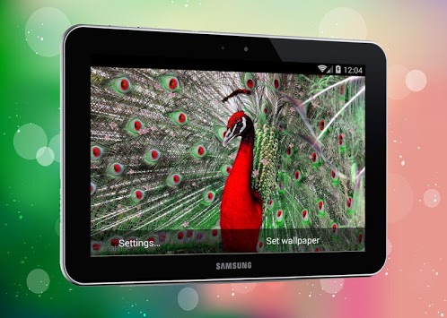 New Peacock Live Wallpaper for PC screenshot 1