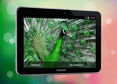 New Peacock Live Wallpaper for PC screenshot 3