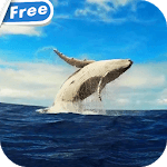 Whale HD Video Live Wallpaper for PC