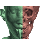 CT Scan Viewer 3D for PC