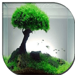 Aquascape Design Galerry for PC