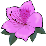 Flora for PC Flora for PC