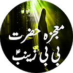 Mojza Bibi Zainab (A.S) for PC