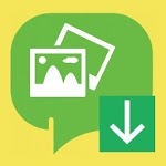 Status Saver for WhatsApp Business and WhatsApp for PC