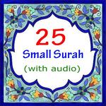 25 Small Surah of The Quran for PC
