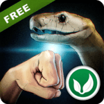 Money or Death - snake attack! for PC