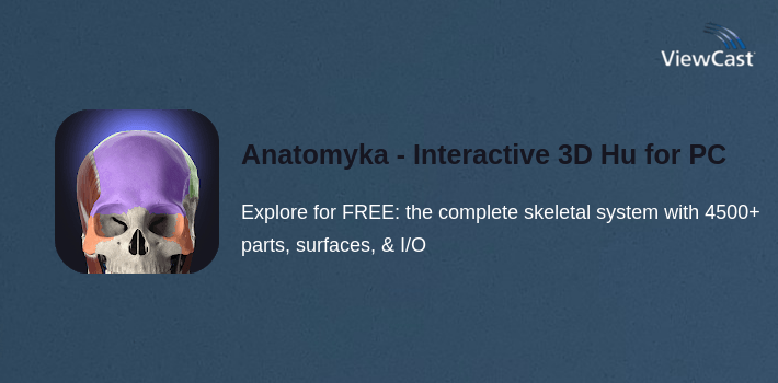 Anatomyka - Interactive 3D Human Anatomy for PC screenshot