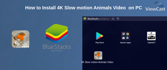 How to Install 4K Slow motion Animals Video Live Wallpaper on PC How to Install 4K Slow motion Animals Video Live Wallpaper on PC