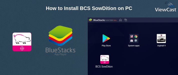 How to Install BCS SowDition on PC