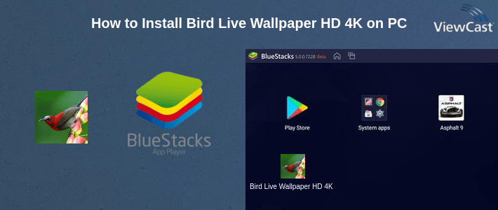 How to Install Bird Live Wallpaper HD 4K on PC