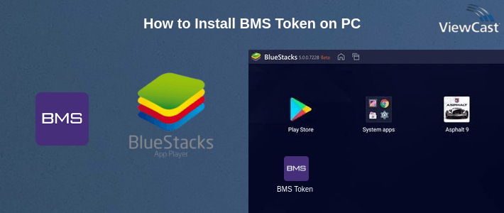 How to Install BMS Token on PC