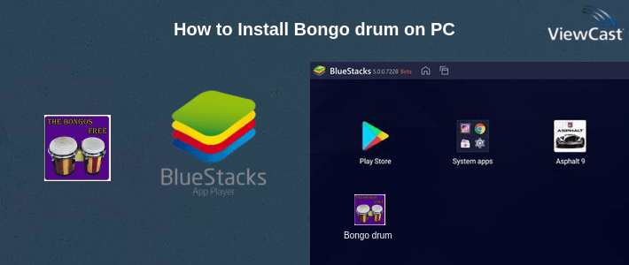 How to Install Bongo drum on PC