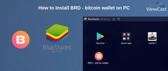 How to Install BRD - bitcoin wallet on PC
