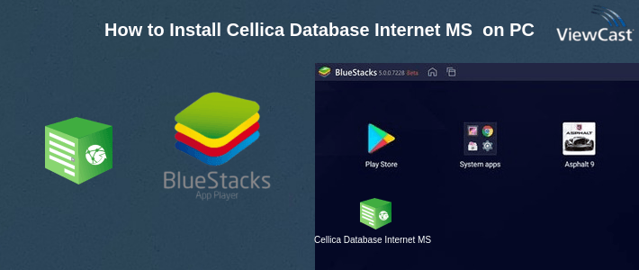 How to Install Cellica Database Internet MS Access,SQLServer form on PC