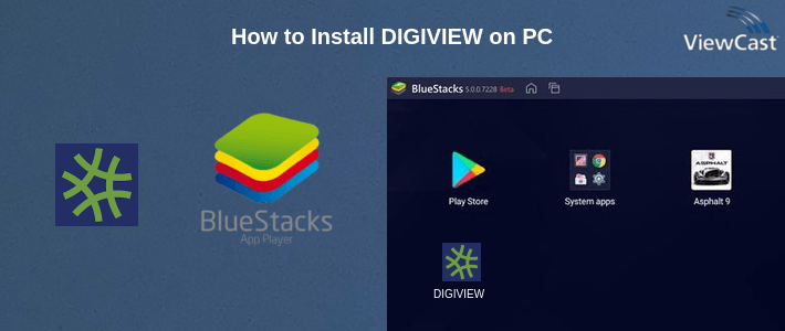 How to Install DIGIVIEW on PC