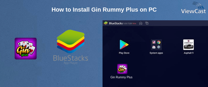 How to Install Gin Rummy Plus on PC