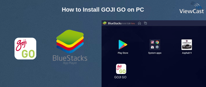How to Install GOJI GO on PC