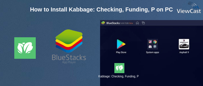 How to Install Kabbage: Checking, Funding, Payments on PC