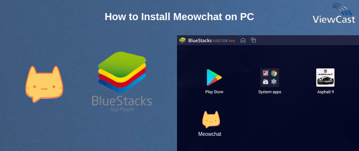 How to Install Meowchat on PC