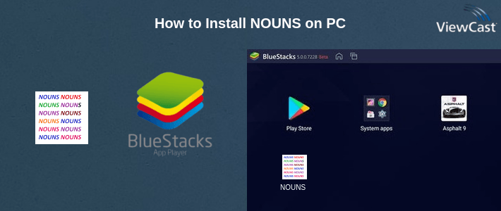 How to Install NOUNS on PC