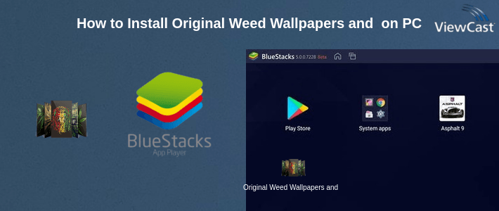 How to Install Original Weed Wallpapers and songs on PC