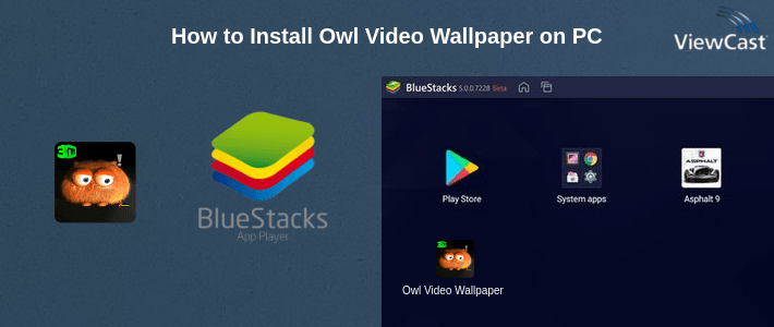 How to Install Owl Video Wallpaper on PC How to Install Owl Video Wallpaper on PC