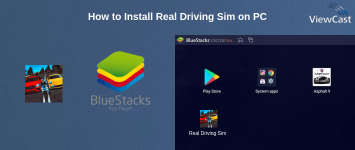 How to Install Real Driving Sim on PC