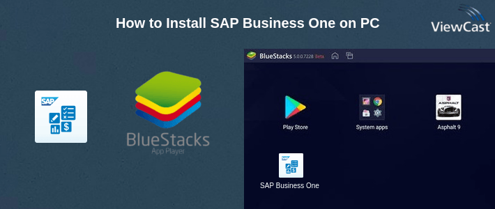 How to Install SAP Business One on PC