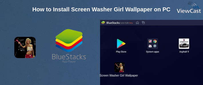 How to Install Screen Washer Girl Wallpaper on PC
