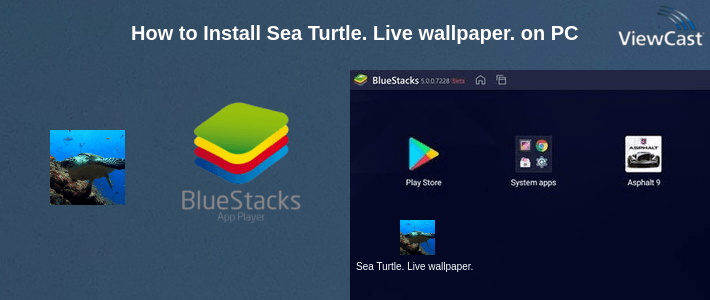 How to Install Sea Turtle. Live wallpaper. on PC