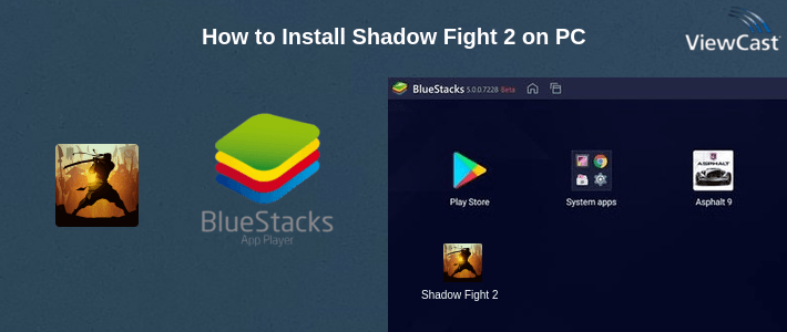 How to Install Shadow Fight 2 on PC