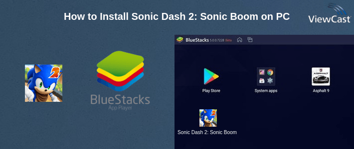 How to Install Sonic Dash 2: Sonic Boom on PC