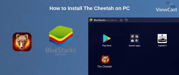 How to Install The Cheetah on PC