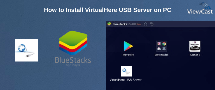 How to Install VirtualHere USB Server on PC