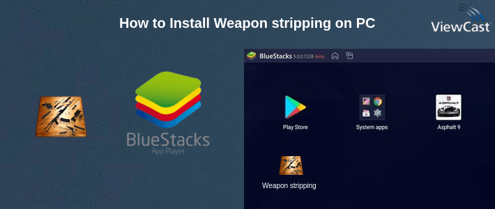 How to Install Weapon stripping on PC