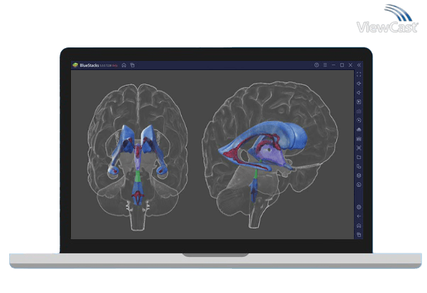 Run 3D Brain on PC Run 3D Brain on PC