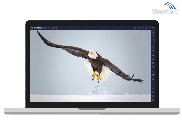 Run 4K Slow motion Animals Video Live Wallpaper on PC Run 4K Slow motion Animals Video Live Wallpaper on PC