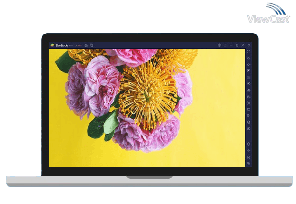 Run A Color Story on PC